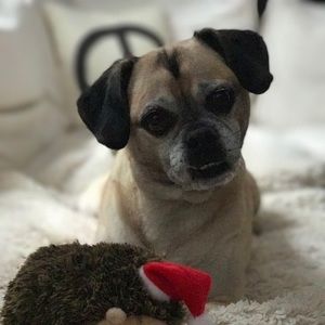 Meet your Posher, Laura